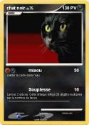 chat noir