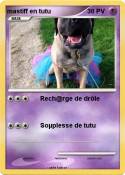 mastiff en tutu