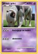 pit-bull ( gr0s ) pit-bull ( gr0s