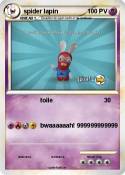 spider lapin
