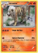 Arcanine Arcanine