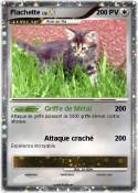 Flachette