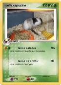 melle.capucine