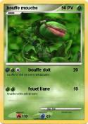 bouffe mouche