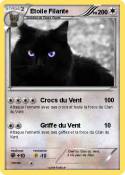 Etoile Filante