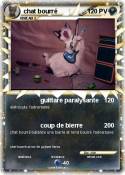 chat bourré