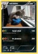 cat meiou