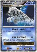 TIGROSSE