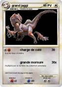 grand jaggi