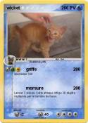 wicket