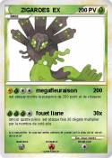 ZIGARDES EX ZIGARDES EX