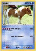 polain polain