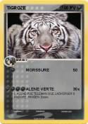 TIGROZE