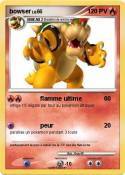bowser