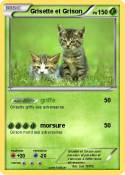 Grisette et