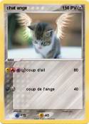 chat ange