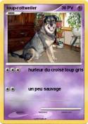 loup-rottweiler