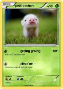 petit cochon