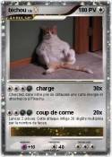 bichou bichou