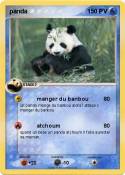 panda