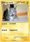 chat qui sourit chat qui sourit