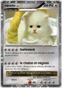 minette
