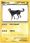 beauceron beauceron