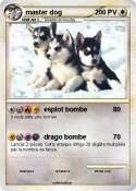 master dog