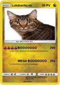 Lulukachu ex