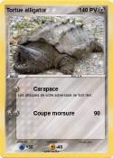 Tortue alligator Tortue