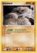 brosseacat