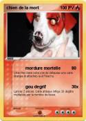 chien de la