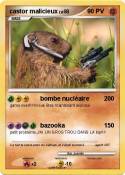 castor malicieux castor
