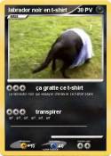 labrador noir en t-shirt labrador noir
