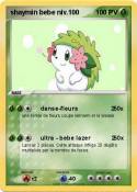 shaymin bebe