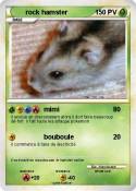 rock hamster