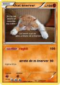 chat énerver