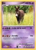 Ane