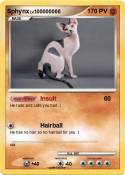 Sphynx