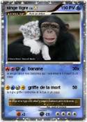 singe tigre