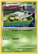chat concombre