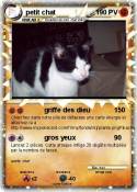 petit chat