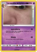 Le neuillle de
