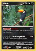 toucan