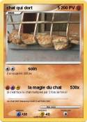 chat qui dort 5 chat qui dort 5