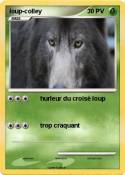 loup-colley