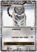TIGRE DES NEIGE