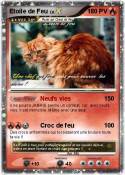 Etoile de Feu