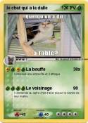le chat qui a