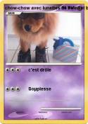 chow-chow avec